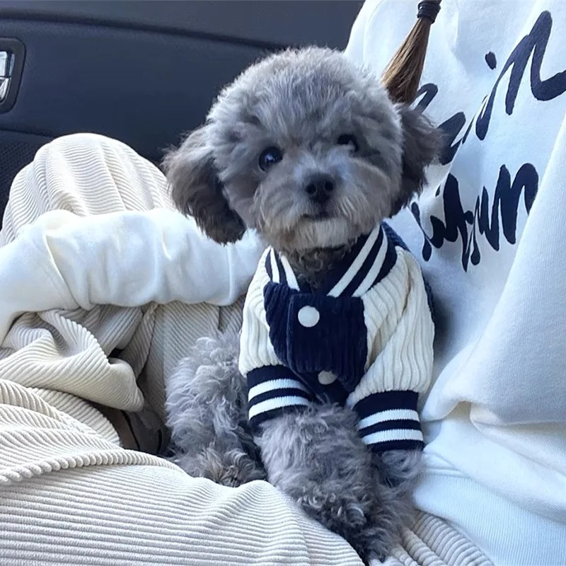 Costume for Dog Clothes Chihua - مراجعة Baby Clothing Winter وسعره
