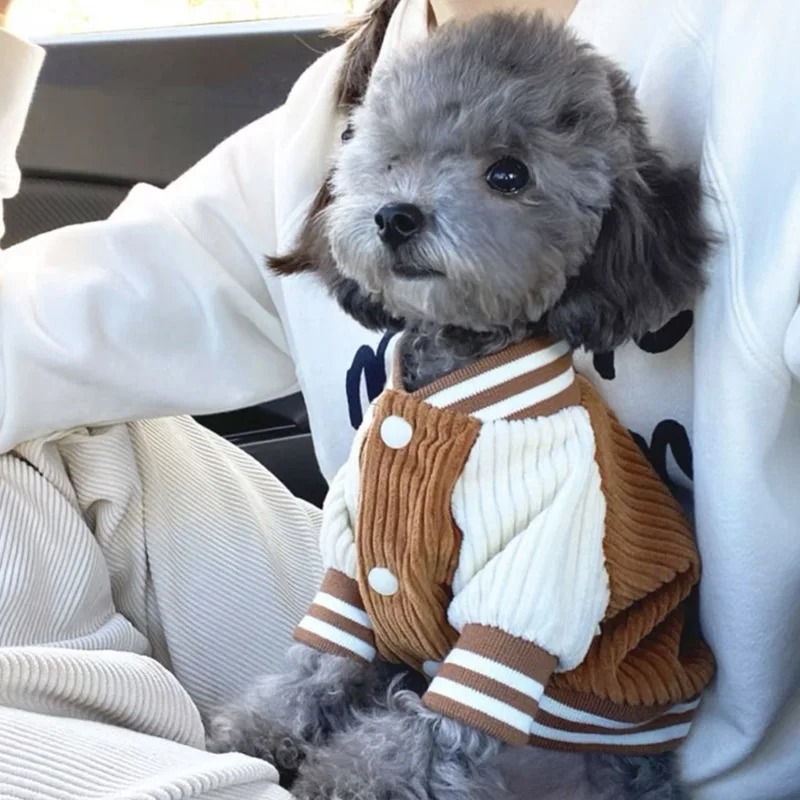 Costume for Dog Clothes Chihua - مراجعة Baby Clothing Winter وسعره