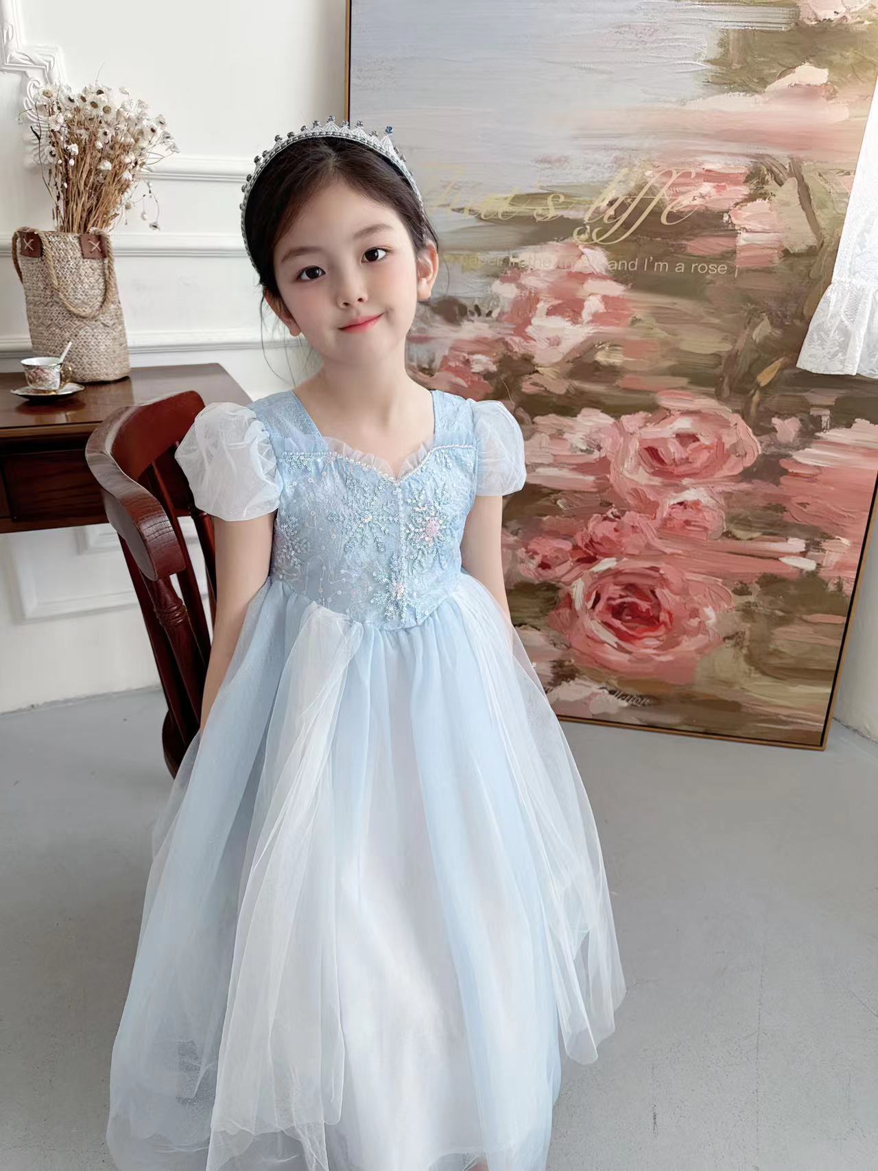 Embroidered Elsa Girls Dress f - مراجعة Baby Clothing Dresser وسعره