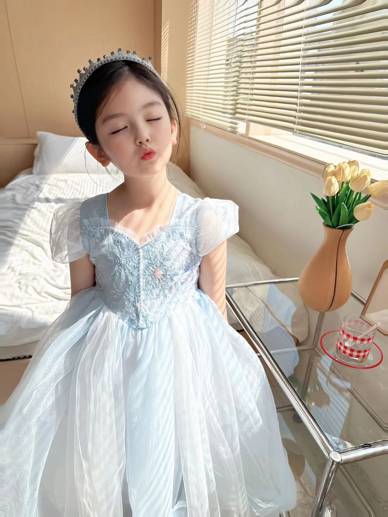 Embroidered Elsa Girls Dress f - مراجعة Baby Clothing Dresser وسعره